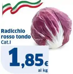 Ok Sigma Radicchio rosso tondo Cat.I offerta