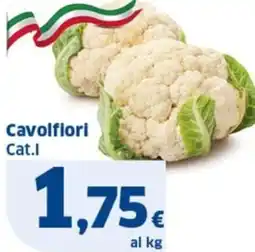 Ok Sigma Cavolfiori Cat.I offerta
