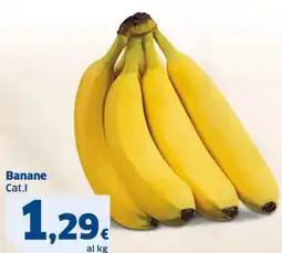 Ok Sigma Banane Cat.I offerta