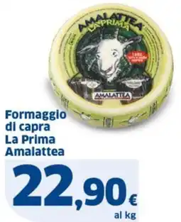 Ok Sigma Formaggio di capra La Prima Amalattea offerta