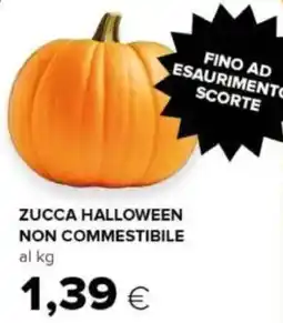 Oasi Zucca halloween non commestibile offerta