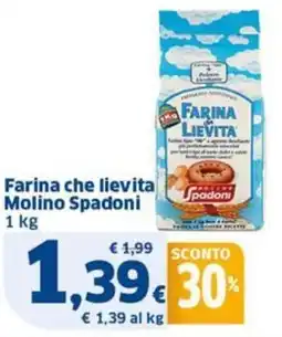 Sigma Farina che lievita Molino Spadoni offerta