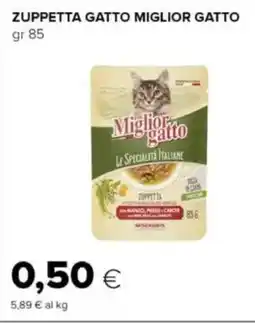 Oasi Zuppetta gatto miglior gatto offerta