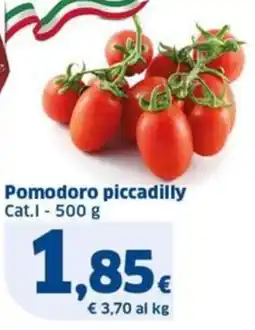Sigma Pomodoro piccadilly Cat.I offerta