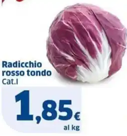 Sigma Radicchio rosso tondo Cat.I offerta
