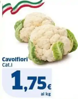 Sigma Cavolfiori Cat.I offerta