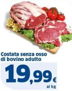 Sigma Costata senza osso di bovino adulto offerta