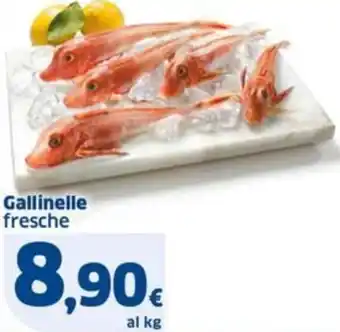 Sigma Gallinelle fresche offerta