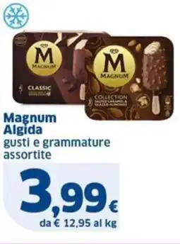 Sigma Magnum Algida offerta