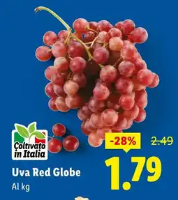 Lidl Uva Red Globe offerta