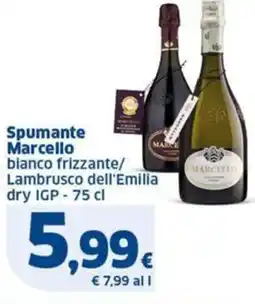 Sigma Spumante Marcello bianco frizzante/ Lambrusco dell'Emilia dry IGP offerta