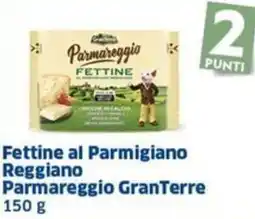 Sigma Fettine al Parmigiano Reggiano Parmareggio GranTerre offerta