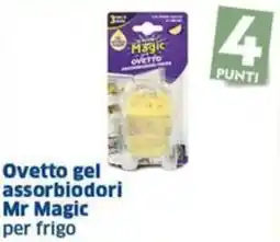 Sigma Ovetto gel assorbiodori Mr Magic per frigo offerta