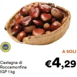 Unes Castagna di Roccamonfina IGP offerta