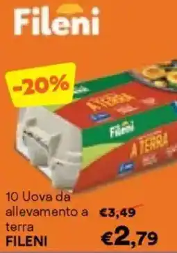 Unes 10 Uova da allevamento a terra FILENI offerta