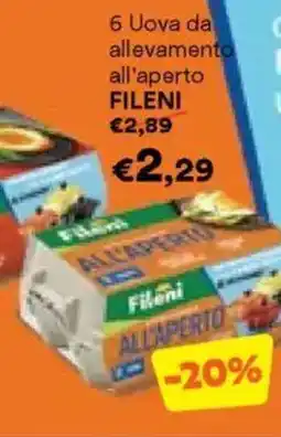 Unes 6 Uova da allevamento all'aperto FILENI offerta