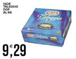 Vantaggio Cash&Carry Igor taleggio dop offerta