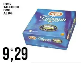 Vantaggio Cash&Carry Igor taleggio dop offerta