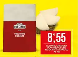 Vantaggio Cash&Carry Fattorie cremona plac provolone piccante triangolo offerta