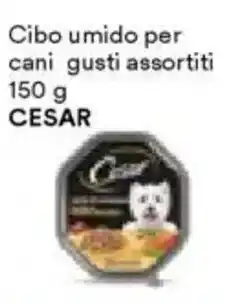 Unes Cibo umido per cani CESAR offerta