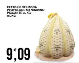 Vantaggio Cash&Carry Fattorie cremona provolone mandarino piccante offerta