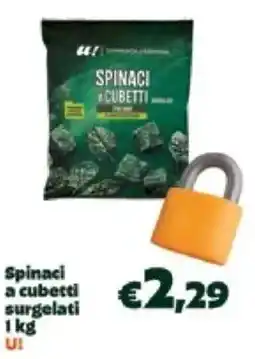 Unes Spinaci a cubetti surgelati U! offerta