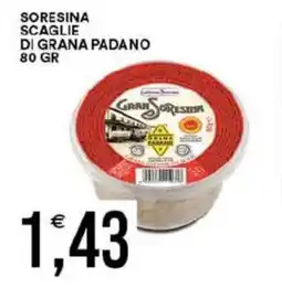 Vantaggio Cash&Carry Soresina scaglie di grana padano offerta