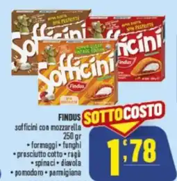 Gruppo di Palo FINDUS sofficini con mozzarella offerta