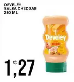 Vantaggio Cash&Carry Develey salsa cheddar offerta