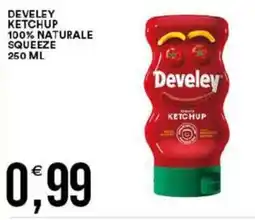 Vantaggio Cash&Carry Develey ketchup 100% naturale squeeze offerta