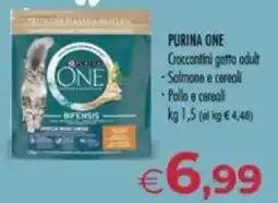 MerSi Supermercati PURINA ONE Croccantini gatto adult offerta
