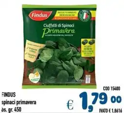 Del Prete Distribuzioni FINDUS spinaci primavera offerta
