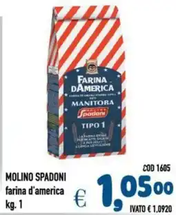 Del Prete Distribuzioni MOLINO SPADONI farina d'america offerta