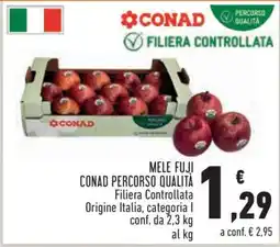 Conad Mele Fuji Conad Percorso Qualità offerta