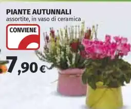 Coop Piante autunnali offerta