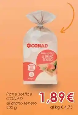 Conad Pane soffice CONAD di grano tenero 400 g offerta