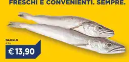 Esselunga Nasello offerta