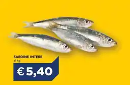 Esselunga SARDINE INTERE offerta