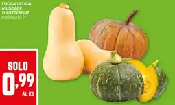 Pam Zucca delica, muscade o butternut categoria 1a offerta