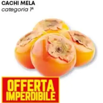 Cachi mela categoria 1ª