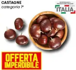 Pam Castagne categoria 1ª offerta