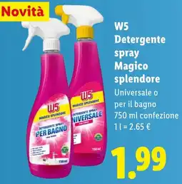Lidl W5 Detergente spray Magico splendore offerta