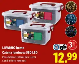 Lidl LIVARNO home Catena luminosa 580 LED offerta