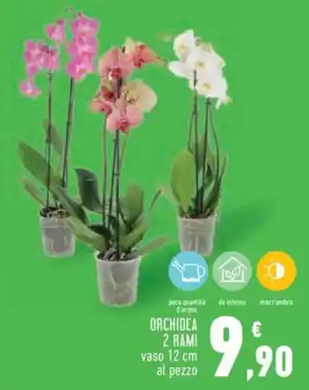 Conad City Orchidea 2 rami offerta