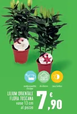 Conad City Lilium orientale flora toscana offerta