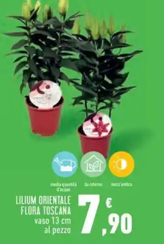 Conad City Lilium orientale flora toscana offerta