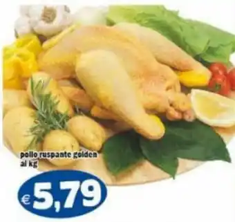 Gros Pollo Ruspante Golden Al Kg offerta