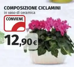 Coop COMPOSIZIONE CICLAMINI offerta