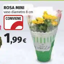 Coop ROSA MINI offerta