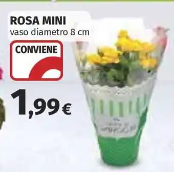 Coop ROSA MINI offerta
